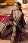 httpsdivinjaipur.comproductsdastaan-e-neelum-a-royal-chronicle-woven-in-midnight-and-gold-suit (6)