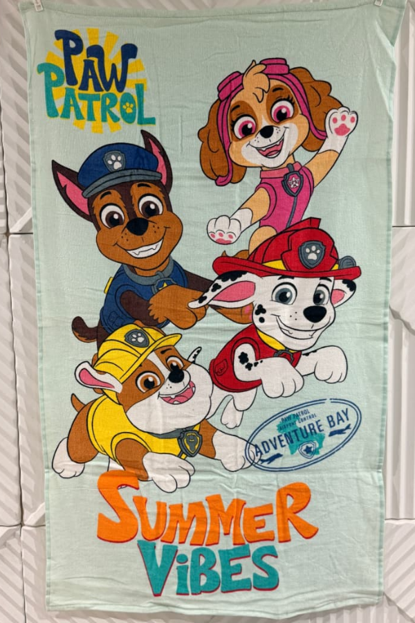 httpsdivinjaipur.comproductsdastaan-e-neelum-a-royal-chronicle-woven-in-midnight-and-gold-suit (29)